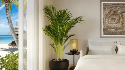 Shangri-La Le Touessrok, Mauritius - 74