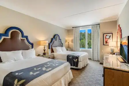 Dollywood's DreamMore Resort - 39