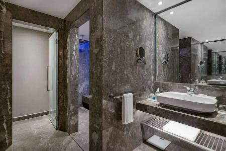 Radisson Blu Spa Istanbul Tuzla - 61