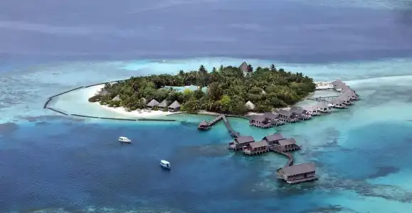 Gangehi Island Resort - 25