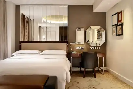 Sheraton Grand London Park Lane - 7