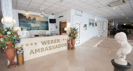 Weber Ambassador - 1