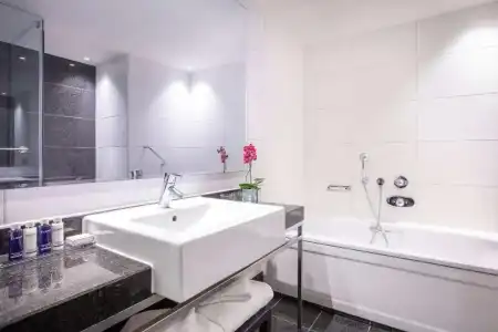 Park Plaza London Riverbank - 41
