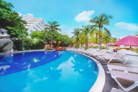 Oasis Palm - 22