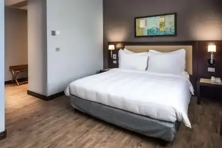 Radisson, Astana - 52