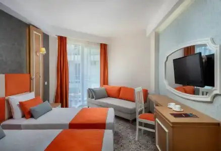 Golden Orange - 43
