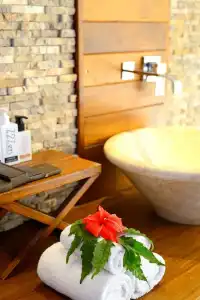 Le Domaine de L Orangeraie Resort et Spa - 31