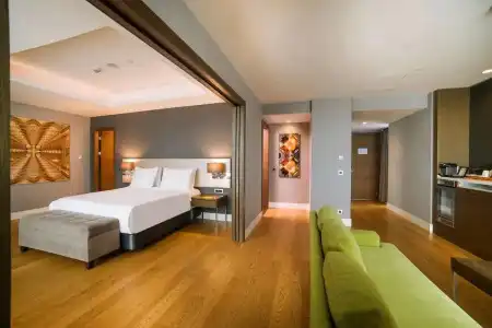 Radisson Blu, Kayseri - 89