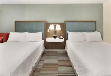 Hampton Inn Atlanta-Georgia Tech-Downtown - 44