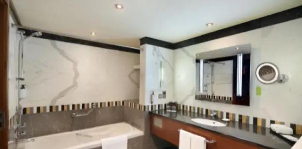 Al Ain Rotana - 29