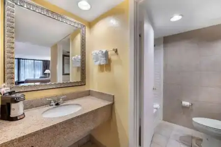 Clarion Inn Orlando International Drive - ICON Park - 33