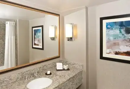 Embassy Suites by Hilton Seattle Bellevue - 32