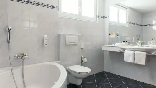 La Couronne & Spa - 83