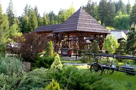 Smerekovyi Dvir - 7
