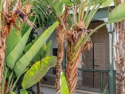 Riad Jaaneman - 76