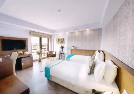 Phoenicia Comfort - 18