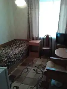 Gostinitsa Birsk - 131