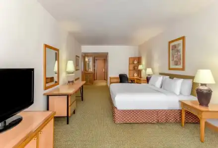 Hilton Alexandria Green Plaza - 63