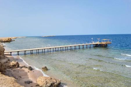 Viva Blue Resort and Diving Sharm El Naga (Adults Only) - 20