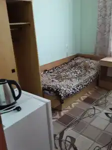 Gostinitsa Birsk - 132