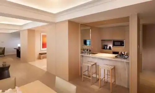 Conrad Singapore Orchard - 59