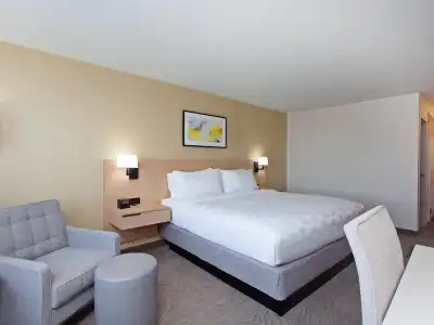 Holiday Inn Los Angeles - LAX Airport by IHG - 57
