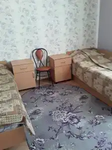 Gostinitsa Birsk - 126