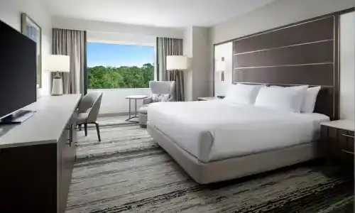 Signia by Hilton Orlando - An Official Walt Disney World - 15