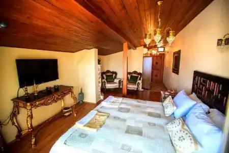 Lemon Villa - Adult Only - 67