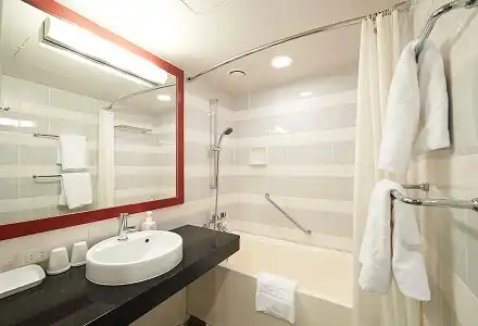 Sotetsu Fresa Inn Tokyo-Akasaka - 54