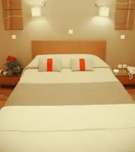 Ariston - 29