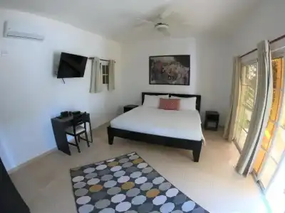 Coral Blanco - 3