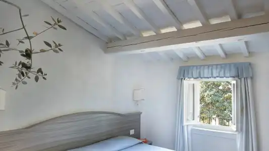 Fattoria di Maiano - 26