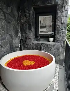 Zenubud - 17