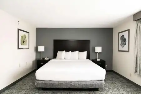 Best Western Inn & Suites San Diego – Zoo/SeaWorld Area - 45
