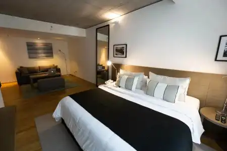 Anselmo Buenos Aires Curio Collection By Hilton - 57