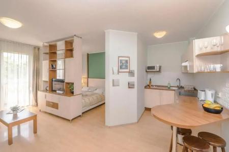 Premium Apartment House - 54
