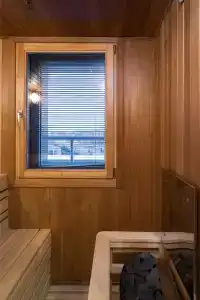 Cosmos Petrozavodsk - 85