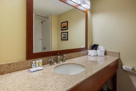 Comfort Inn & Suites SW Houston Sugarland - 41