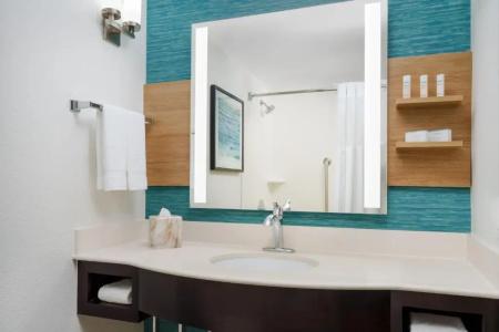 Hilton Garden Inn Orlando at SeaWorld - 10