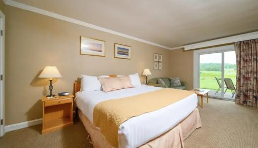 Stoweflake Mountain Resort & Spa - 71