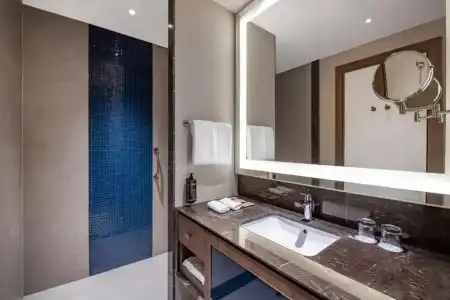 Tbilisi Philharmonic By Mercure - 43