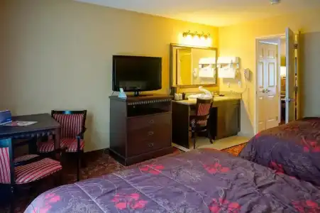 Castle Inn and Suites - 25