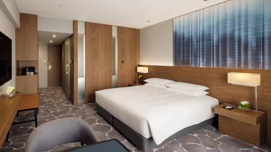 Hyatt Regency Tokyo - 30