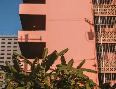 Royal Grove Waikiki - 25