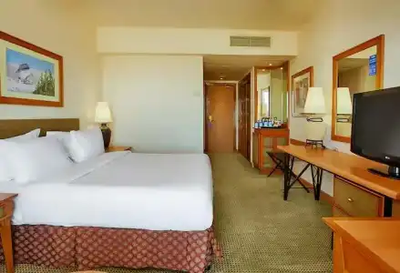 Hilton Alexandria Green Plaza - 50