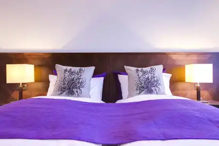 Radisson Blu Saga - 40