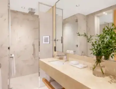 Adagio Premium The Palm Apart-hotel - 36