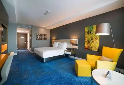 Radisson Blu, Kayseri - 50