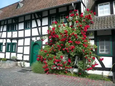 Falderhof - 6